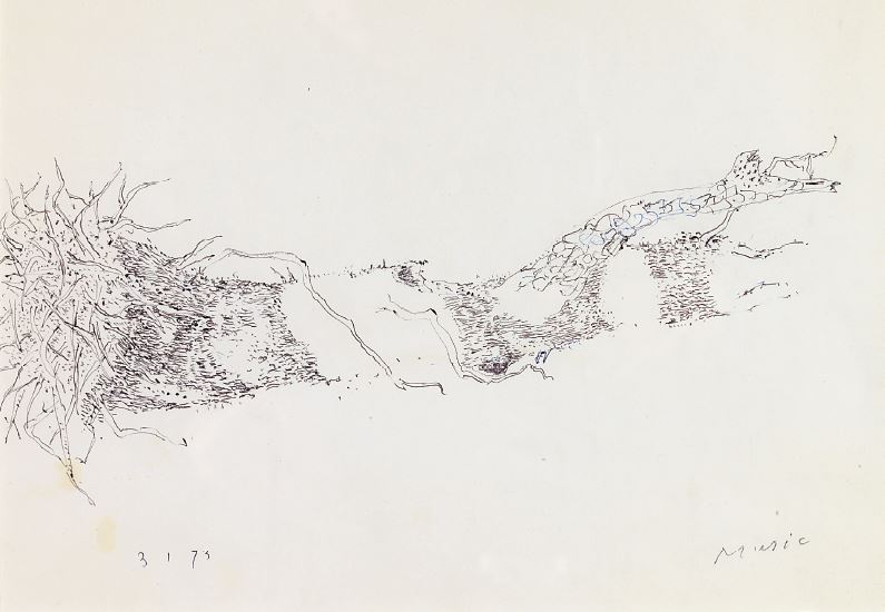 1973: Motivo vegetale | Bleistift auf Papier (20,5 x 29 cm)