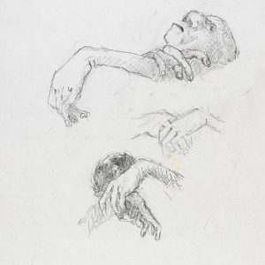 1973: Wir sind nicht die Letzten | Bleistift auf Papier (35 x 25,5 cm)