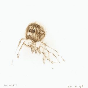 1975: Wir sind nicht die Letzten | Ölpastell auf Papier (27 x 26,5 cm)